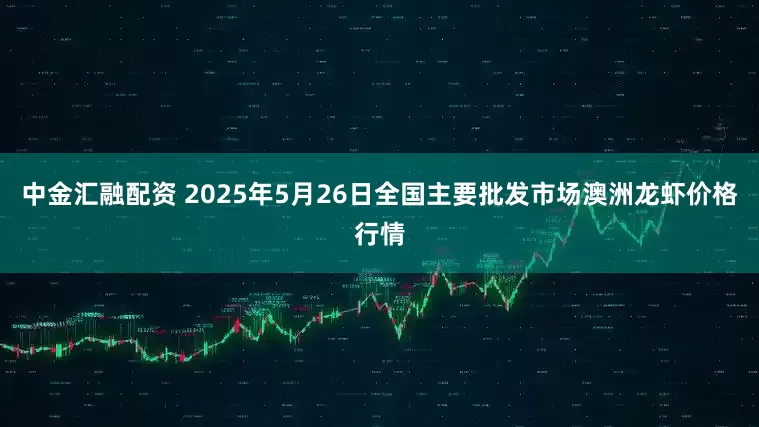 中金汇融配资 2025年5月26日全国主要批发市场澳洲龙虾价格行情