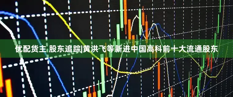 优配货主 股东追踪|黄洪飞等新进中国高科前十大流通股东
